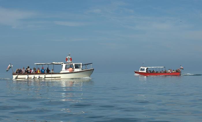 Dolphin Spotting Boat Trips